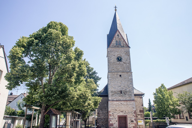 Bierstadter Kirche, evangelisch, außen, Baum