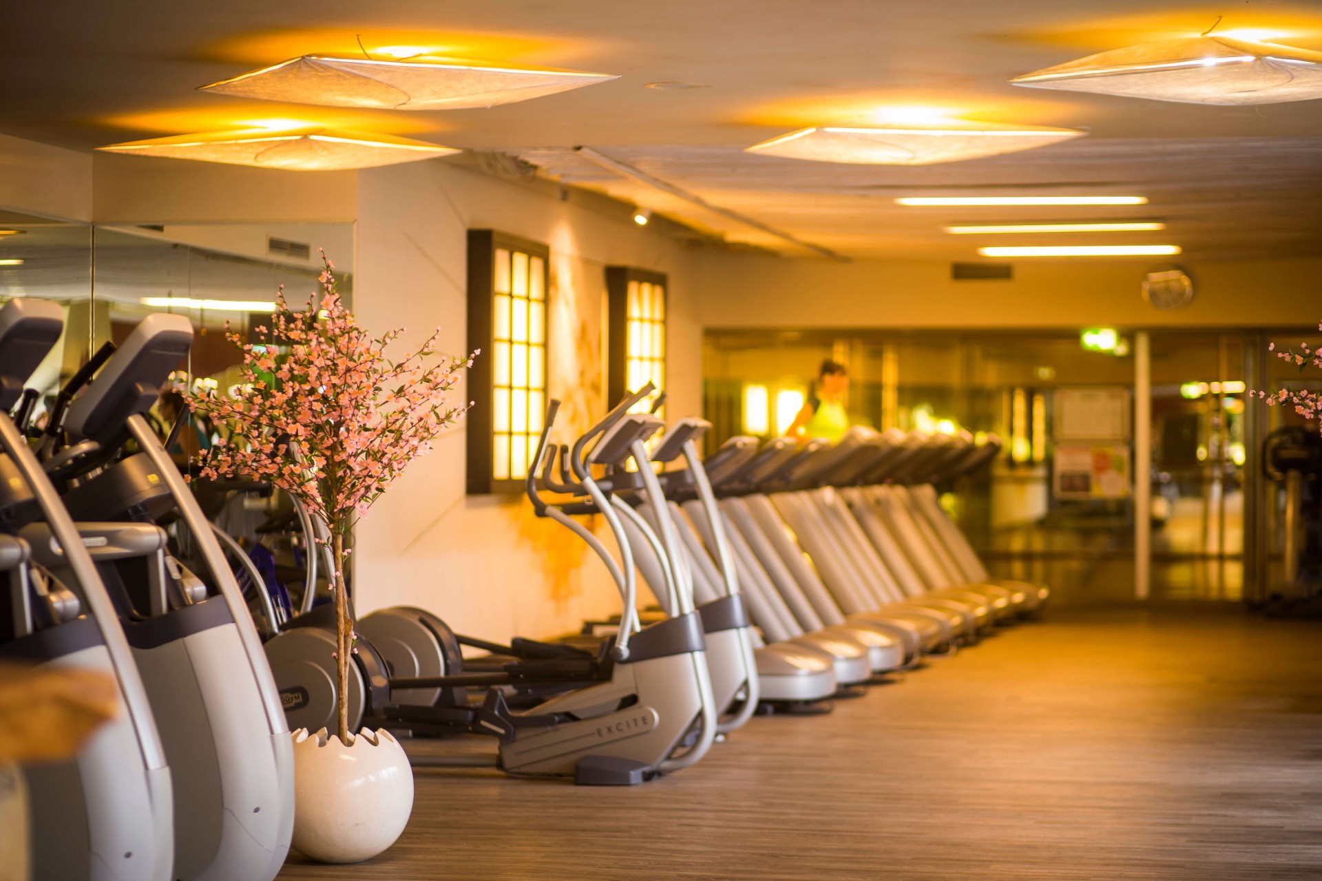Gerätetraining Fitness