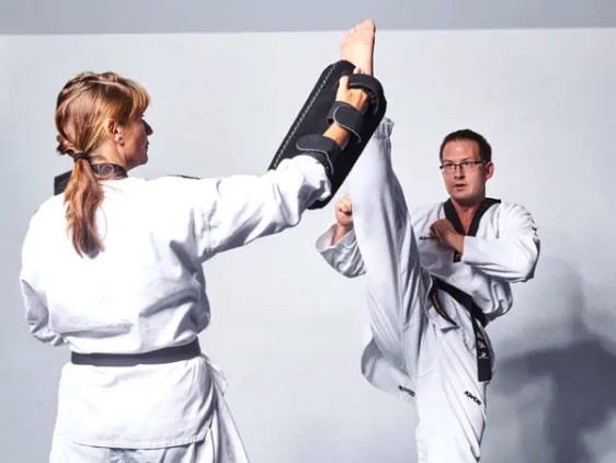 Taekwondo Trainer