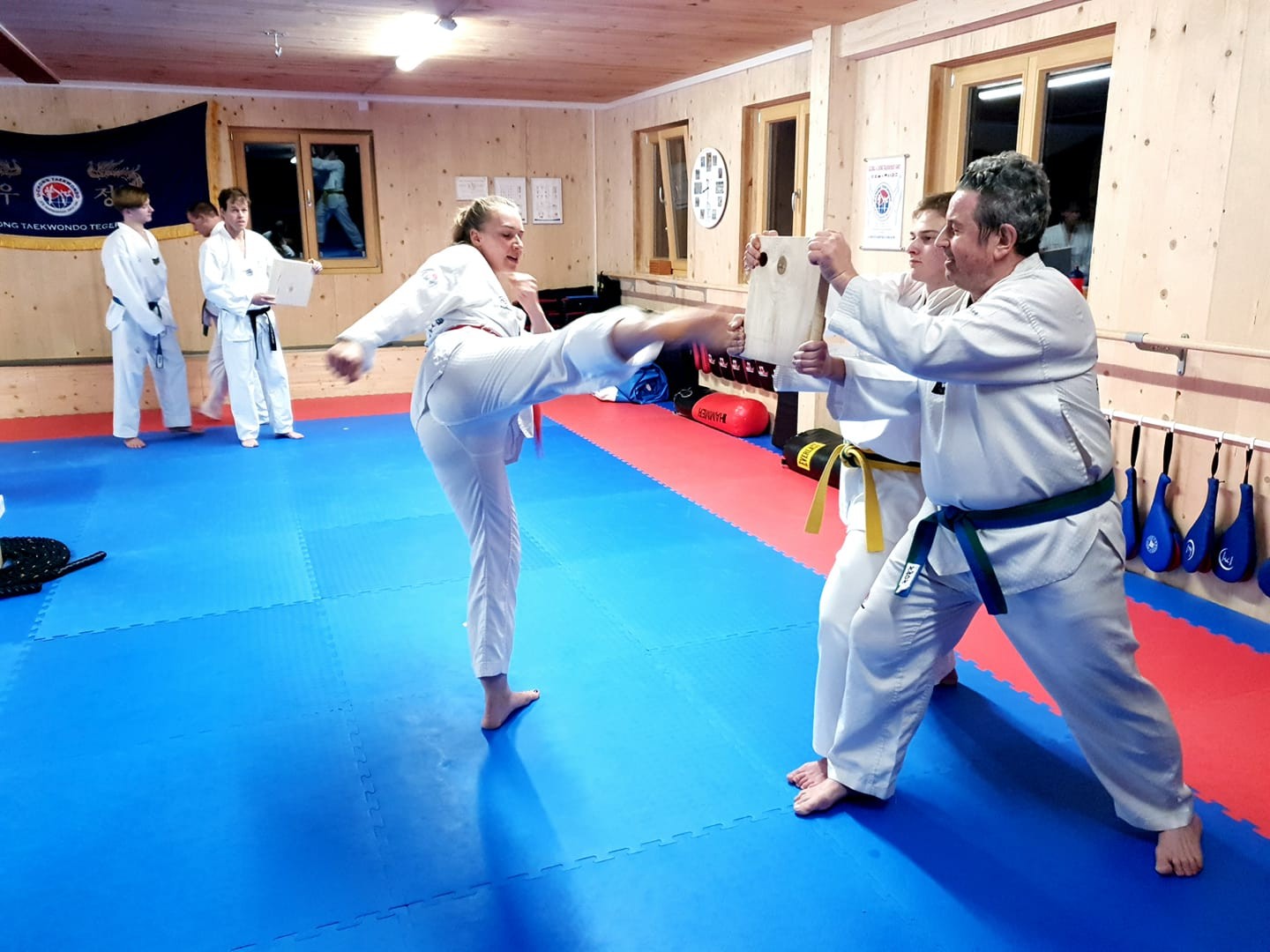 Taekwondo Training