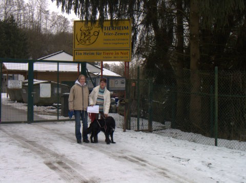 Tierheim Trier Welpen Tierheim Trier Welpen