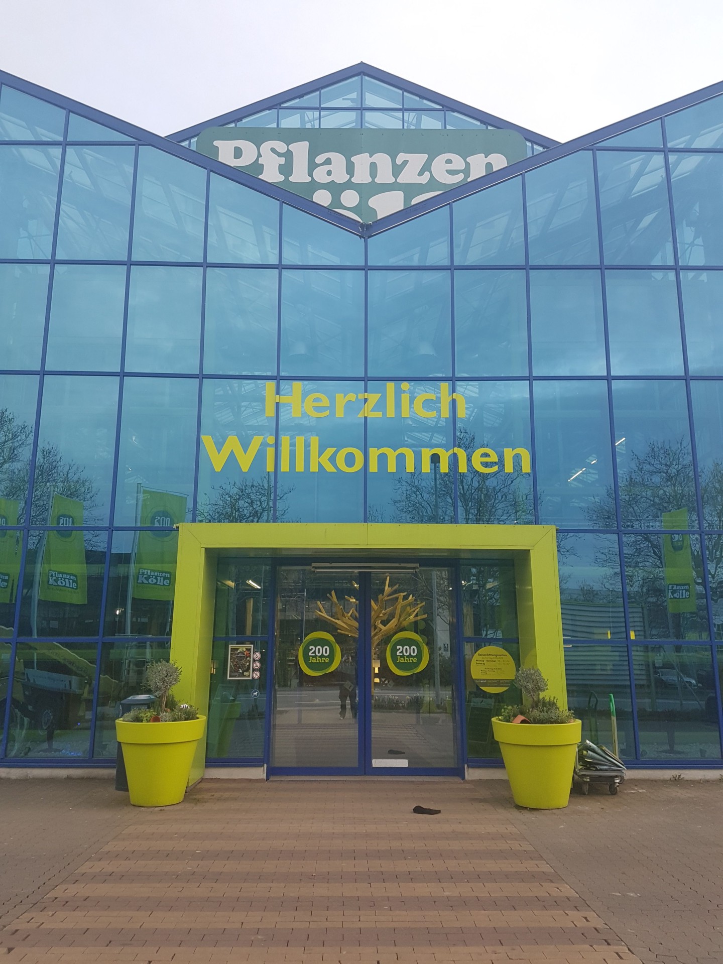 PflanzenKölle in Wiesbaden Gartenoase🌹 für Jedermann!