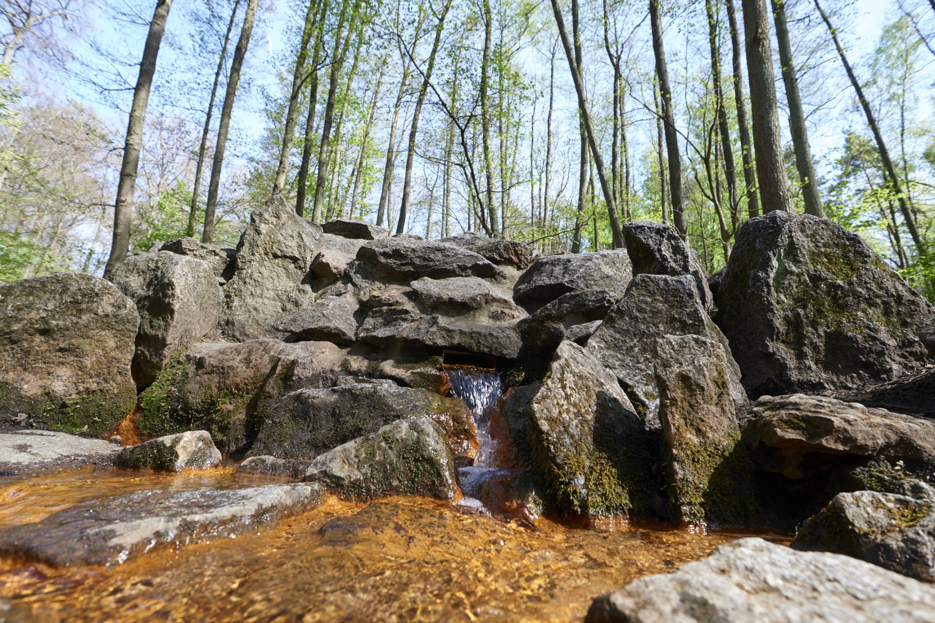 Königsbrünnchen, grüngürtel, Frankfurt, natur, ausflug