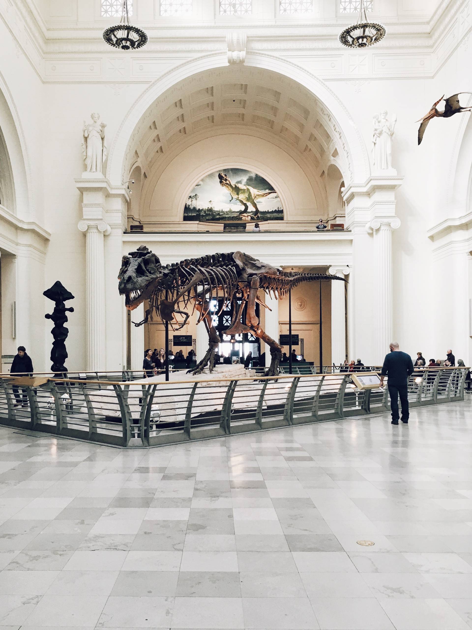 Museumshalle mit Disnosaurier