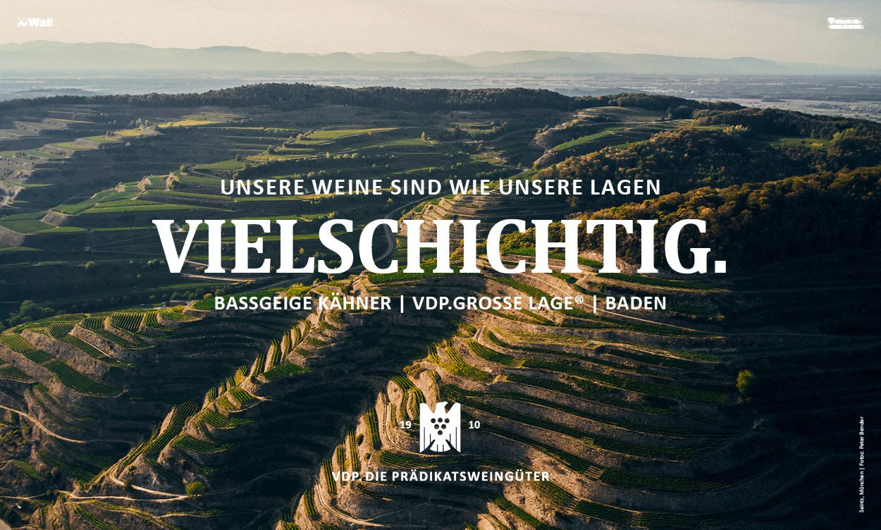 Wienberge, Weingut, Kampagne