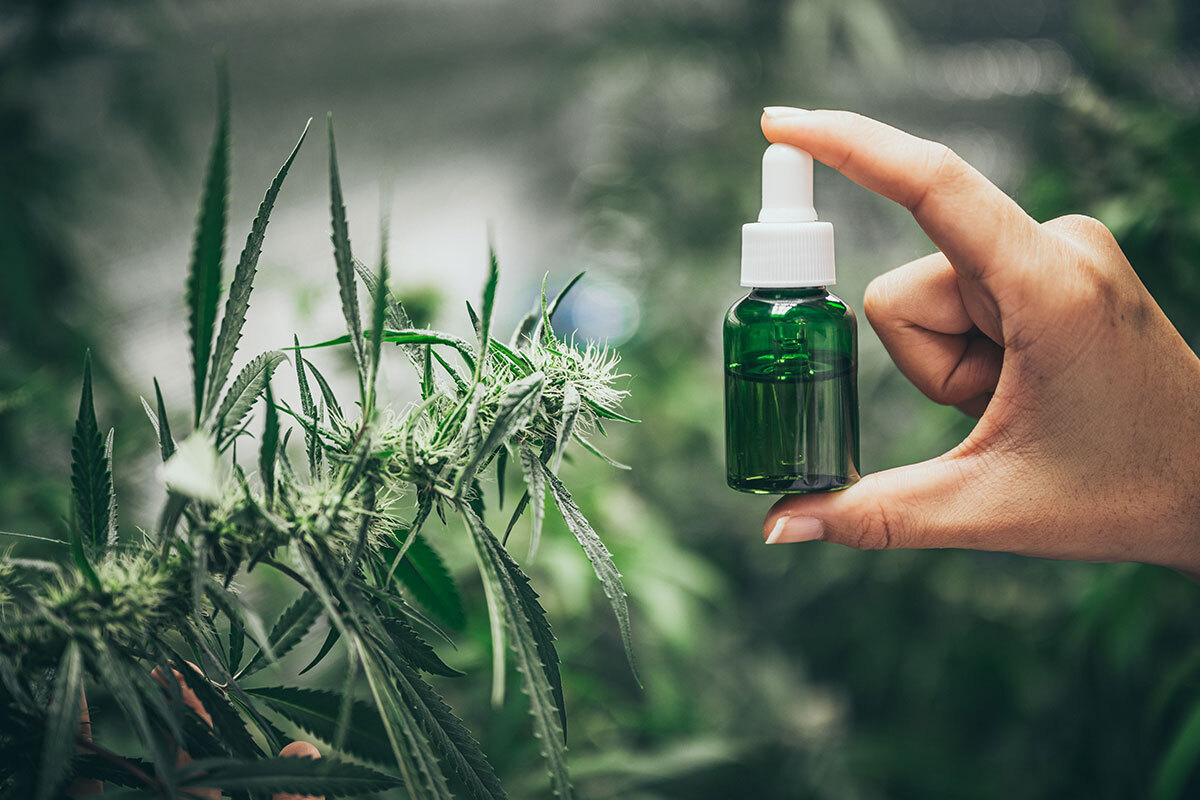 CBD Öl vor Cannabis Blättern mit Hand 